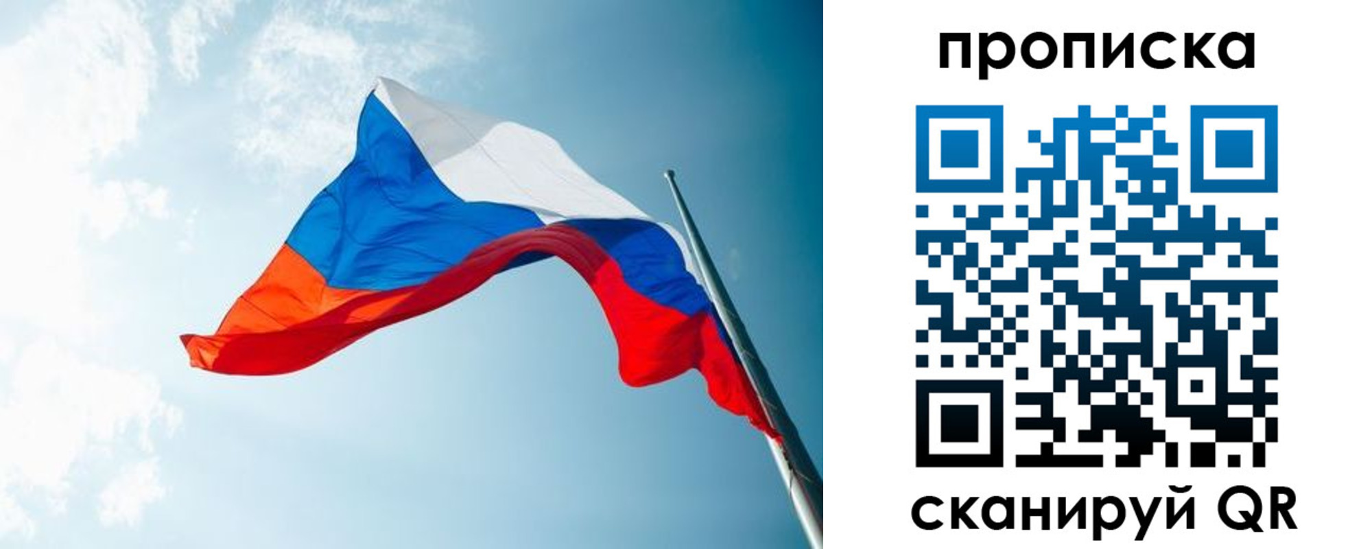 найти адрес прописки в Коле